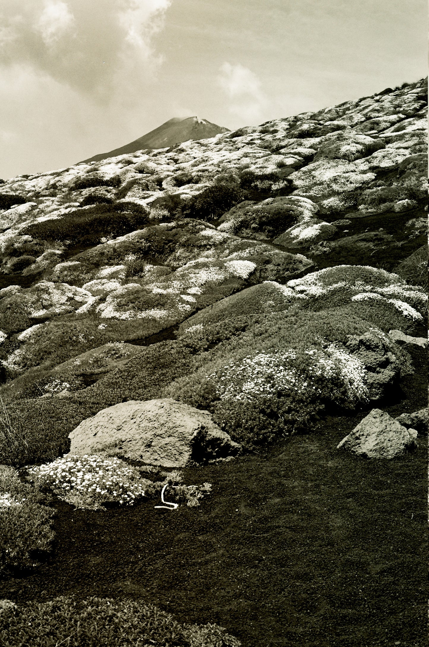 Photographie (Schwarz & Weiß) - Vulkanlandschaft Ätna 1, Sizilien, Italien