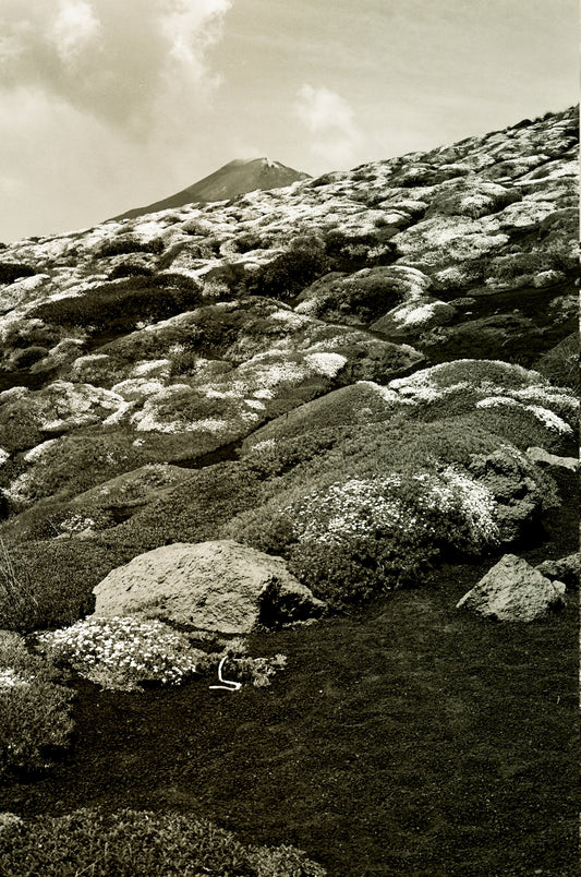 Photographie (Schwarz & Weiß) - Vulkanlandschaft Ätna 1, Sizilien, Italien