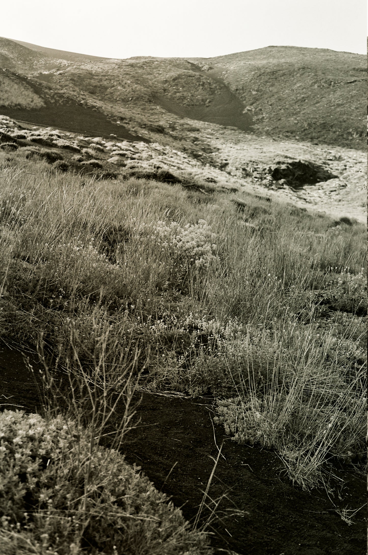 Photographie (Schwarz & Weiß) - Vulkanlandschaft Ätna 6, Sizilien, Italien